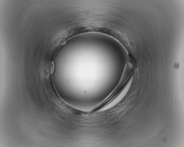 X0000091951012200709131159