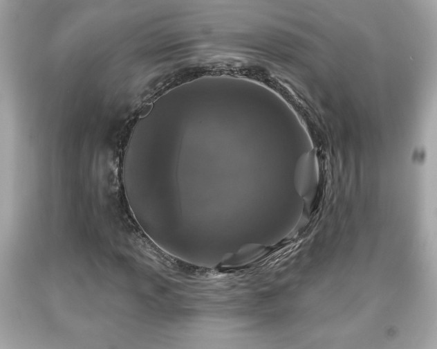 X0000091951013200709131159