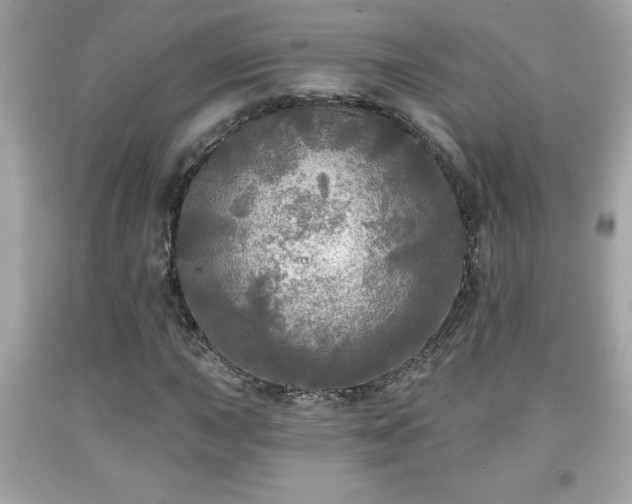 X0000091951015200709131159