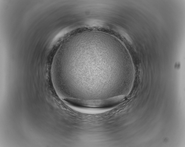 X0000091951016200709131159