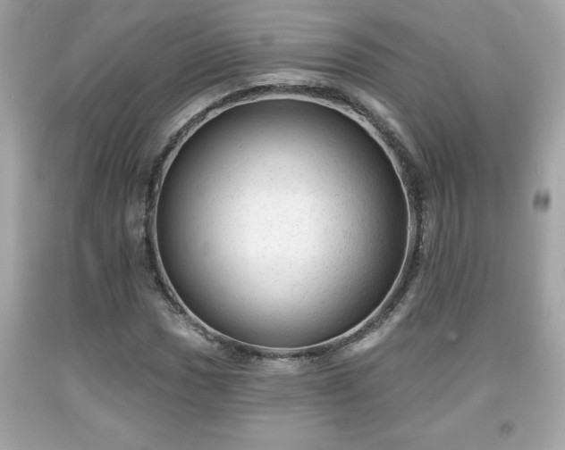 X0000091951017200709131159