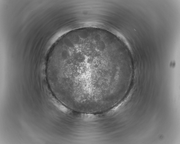 X0000091951019200709131159