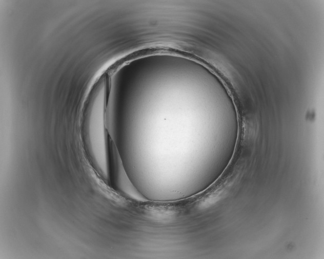 X0000091951020200709131159