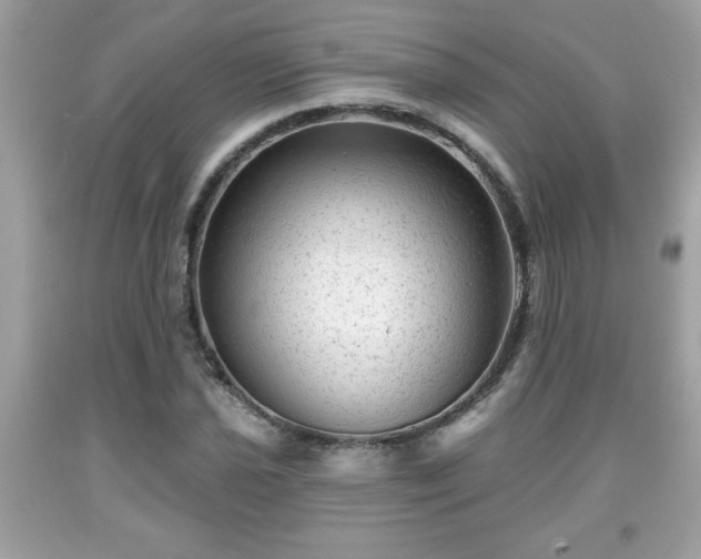 X0000091951021200709131200