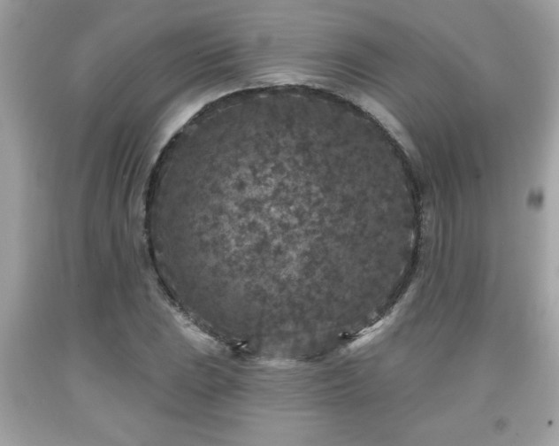 X0000091951023200709131200