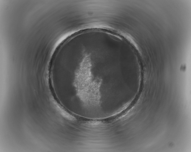 X0000091951024200709131200