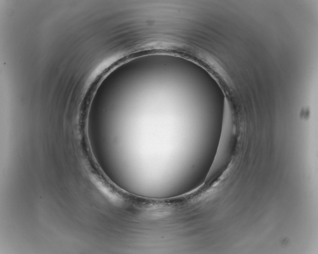 X0000091951026200709131200