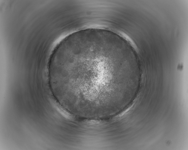 X0000091951027200709131200