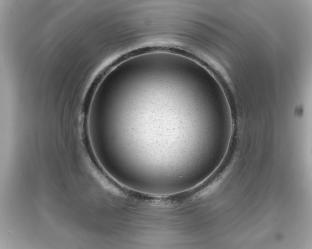 X0000091951029200709131200