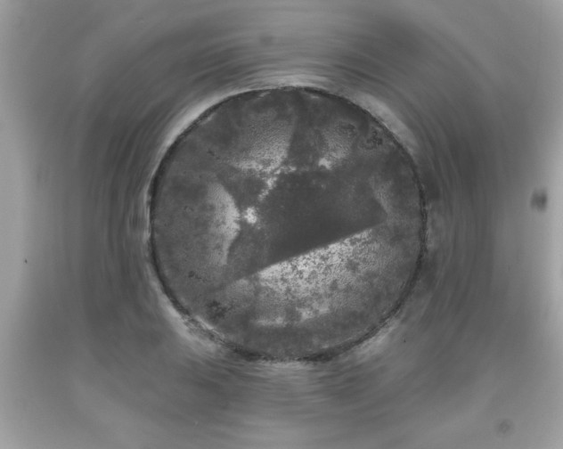 X0000091951031200709131200