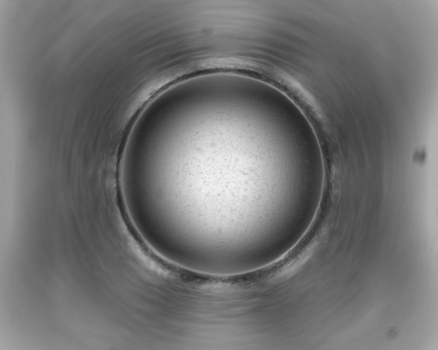 X0000091951033200709131200