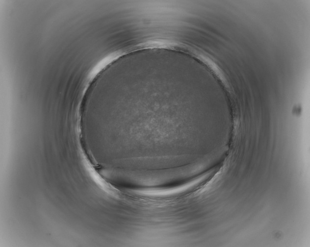 X0000091951034200709131200