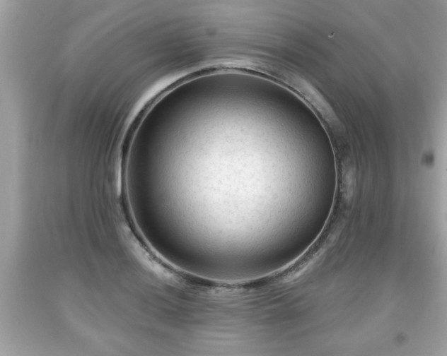 X0000091951036200709131200