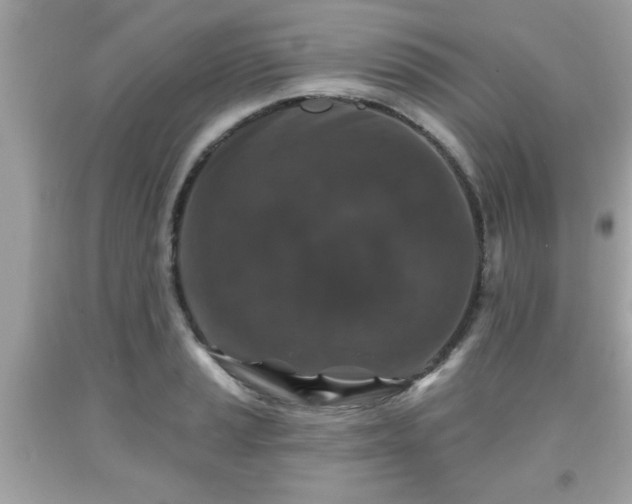 X0000091951037200709131200