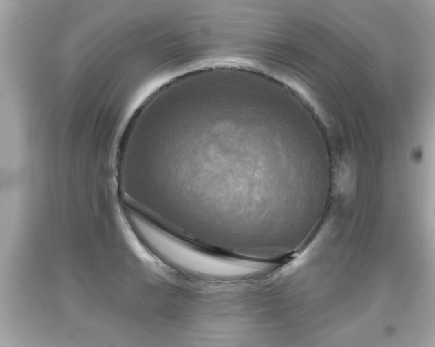 X0000091951038200709131200