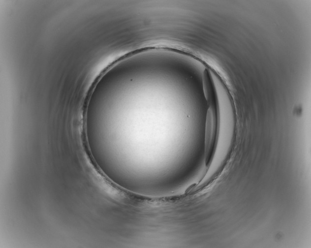 X0000091951040200709131200