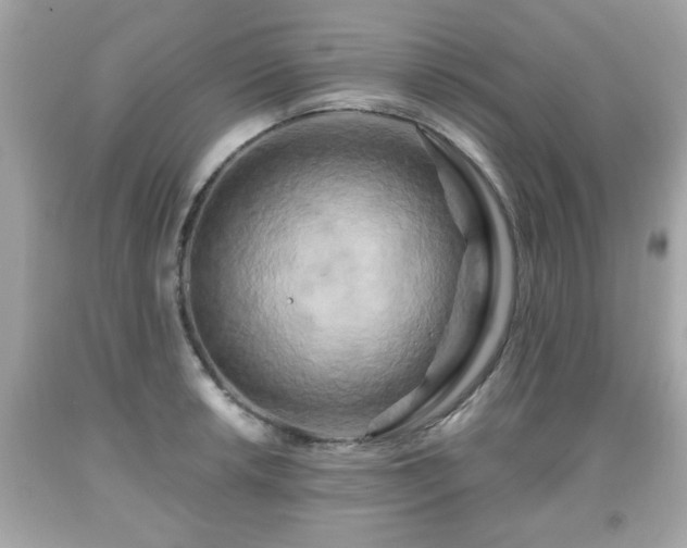 X0000091951042200709131200