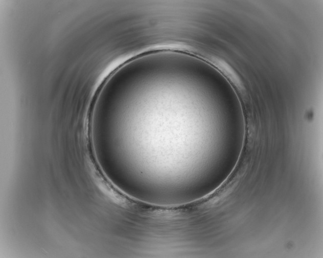 X0000091951044200709131200