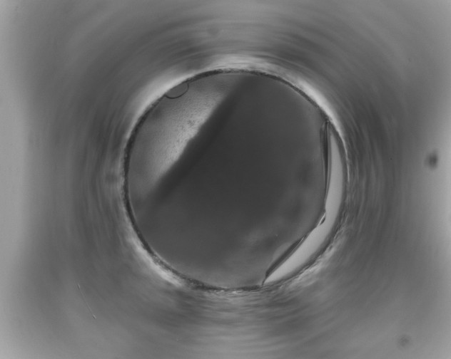 X0000091951045200709131200