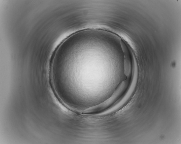 X0000091951046200709131200