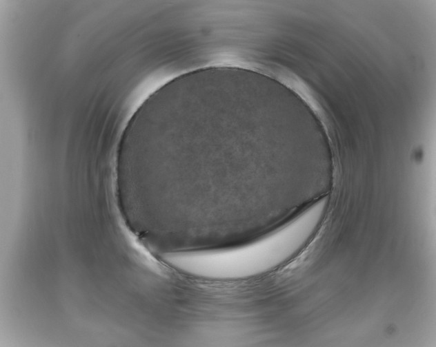 X0000091951048200709131200