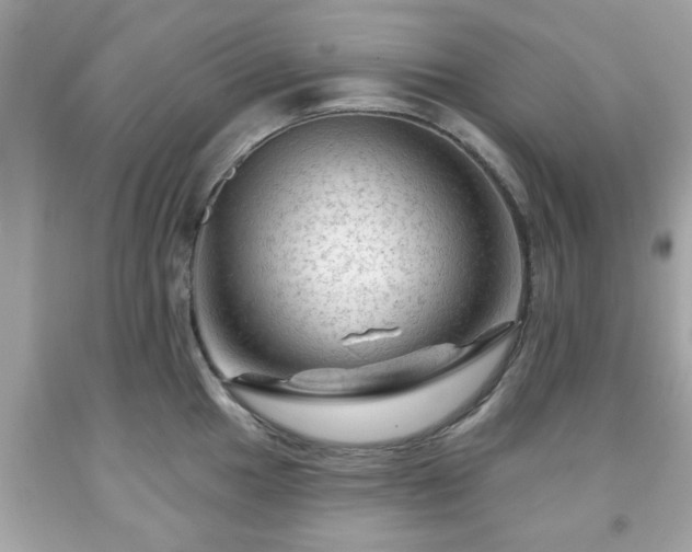 X0000091951049200709131200