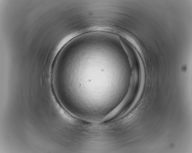 X0000091951050200709131200