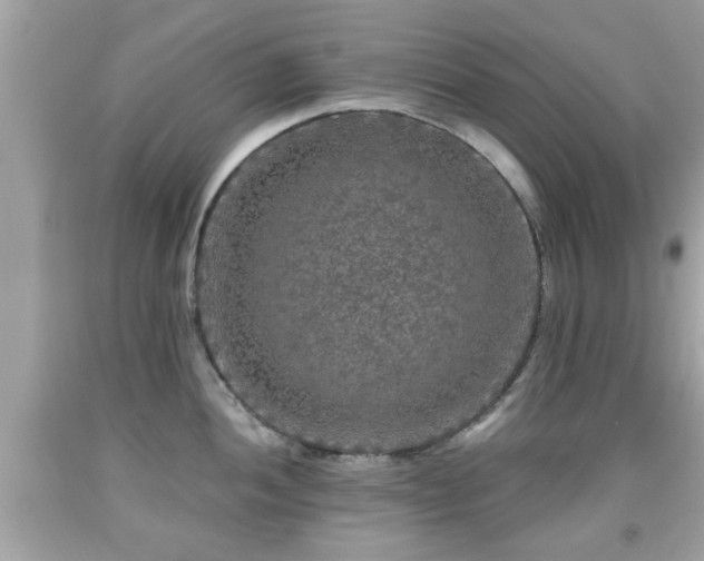X0000091951052200709131200