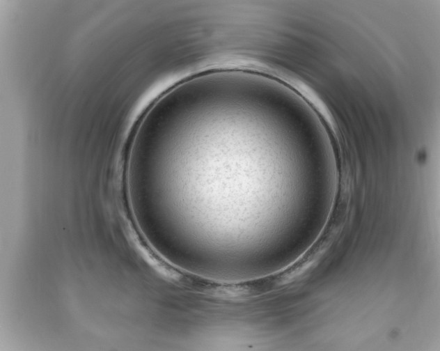 X0000091951053200709131200