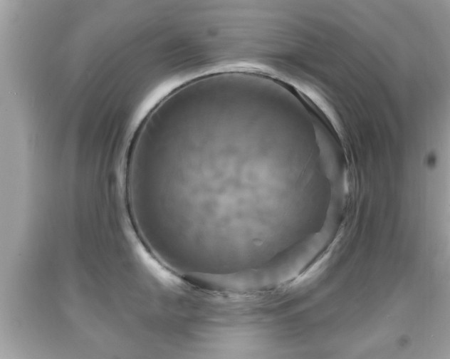 X0000091951054200709131200