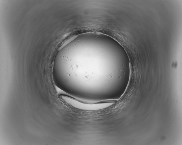 X0000091951057200709131159