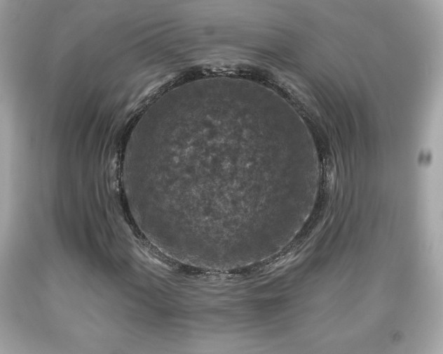 X0000091951060200709131159