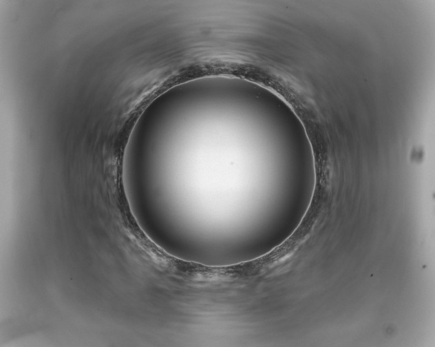 X0000091951061200709131159