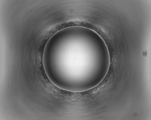 X0000091951062200709131159