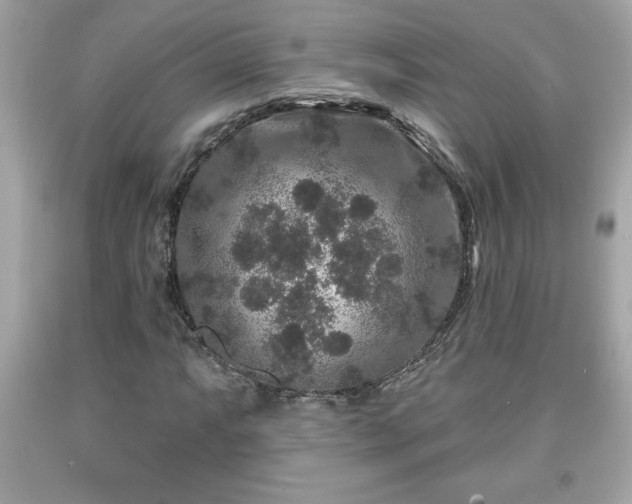 X0000091951063200709131159