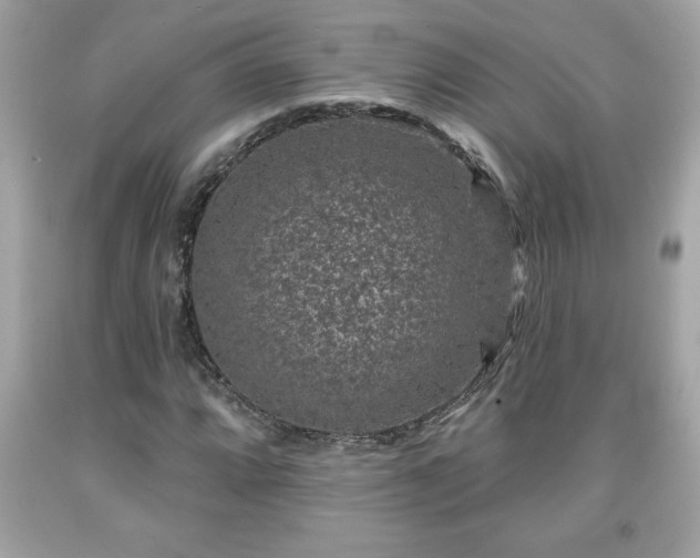 X0000091951064200709131159