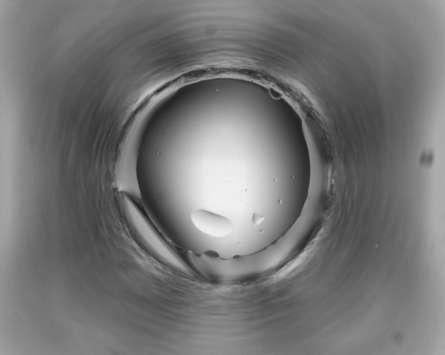 X0000091951065200709131159