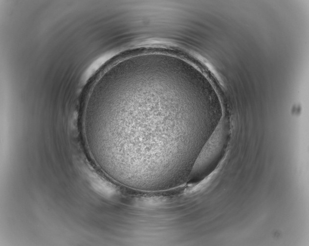 X0000091951066200709131159