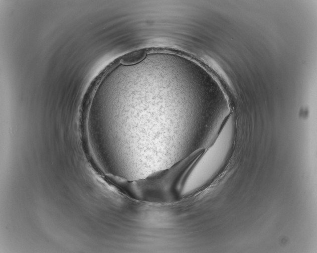 X0000091951068200709131159