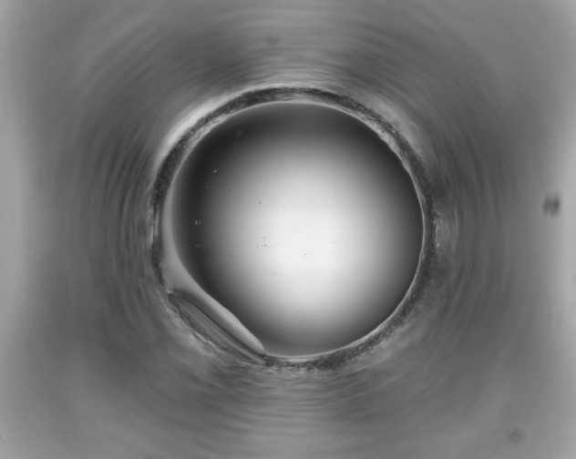 X0000091951069200709131159