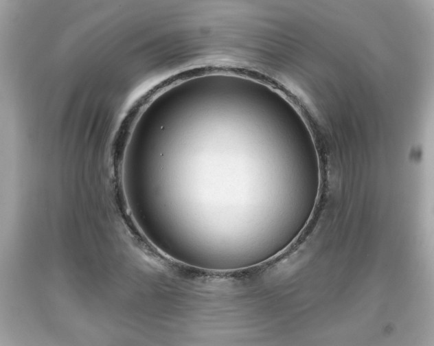 X0000091951070200709131159