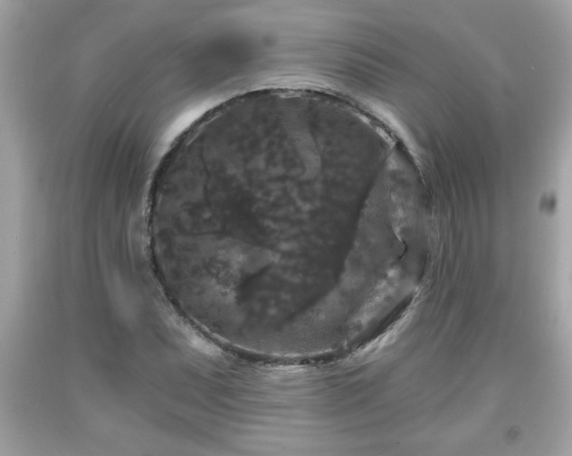 X0000091951071200709131159