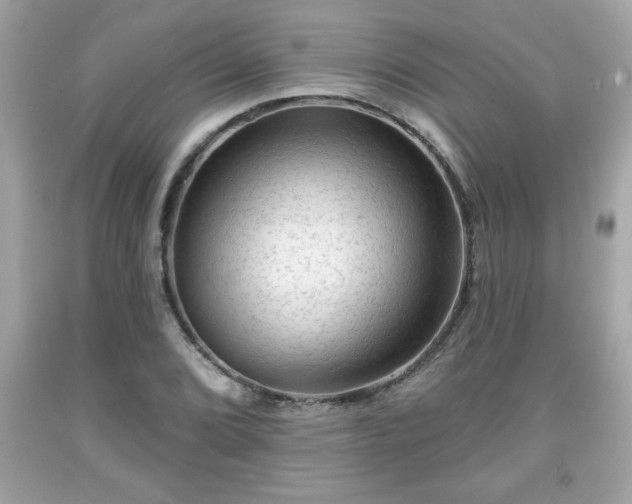 X0000091951072200709131159