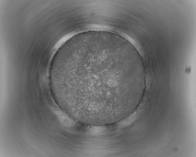 X0000091951074200709131159
