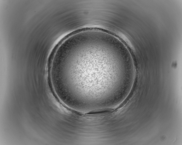 X0000091951076200709131159
