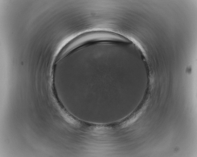 X0000091951077200709131159