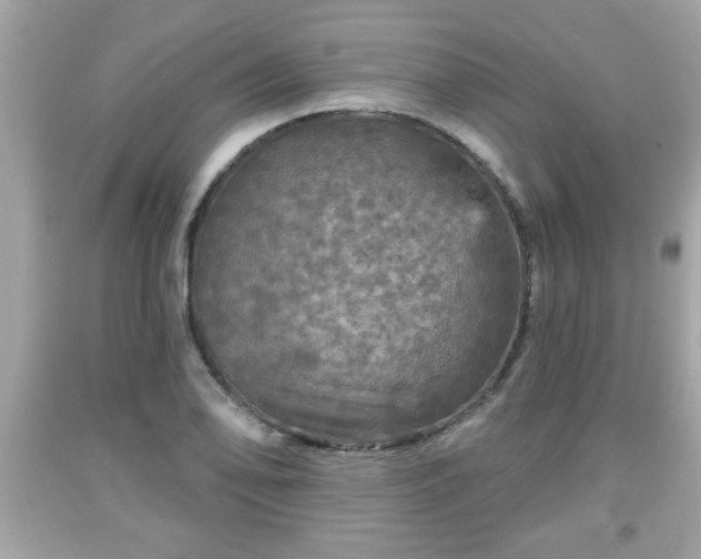 X0000091951078200709131159
