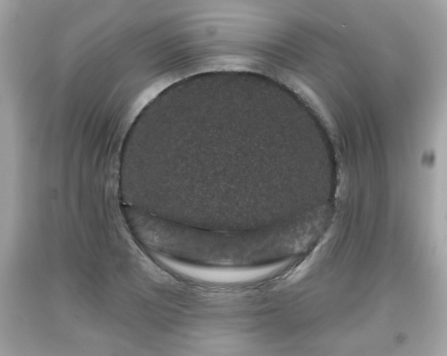 X0000091951081200709131159