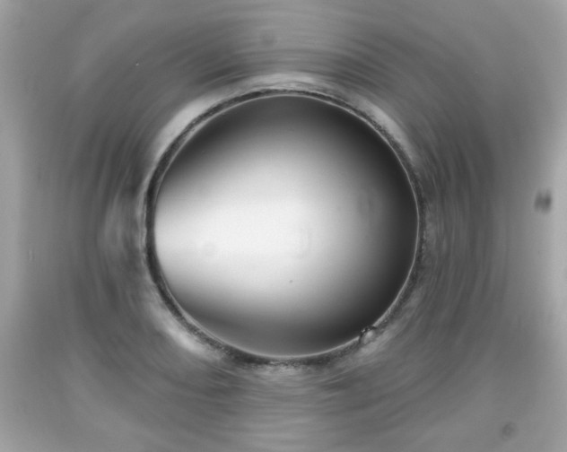 X0000091951082200709131159