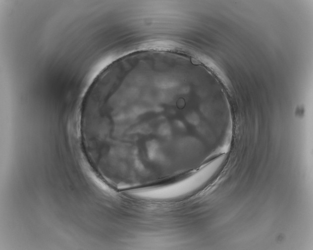 X0000091951083200709131159